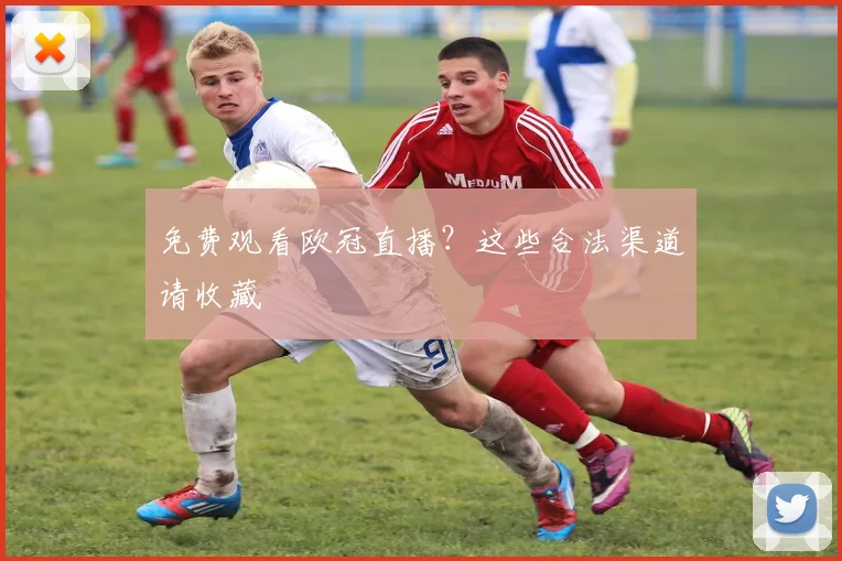 免费观看欧冠直播？这些合法渠道请收藏