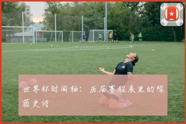 世界杯时间轴:历届赛程表里的绿茵史诗