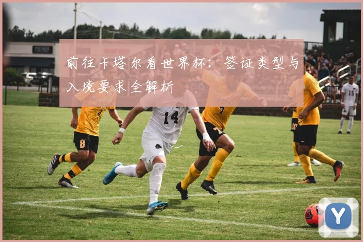 前往卡塔尔看世界杯:签证类型与入境要求全解析