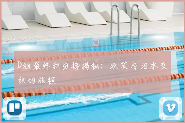 D组最终积分榜揭秘：欢笑与泪水交织的旅程