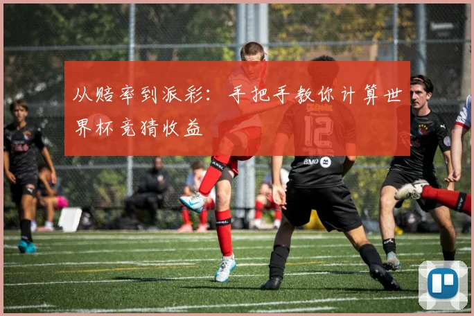 从赔率到派彩：手把手教你计算世界杯竞猜收益