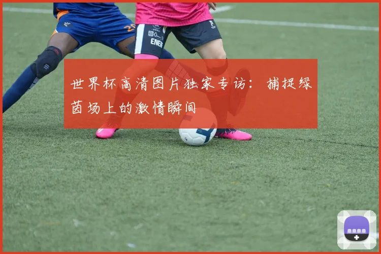 世界杯高清图片独家专访：捕捉绿茵场上的激情瞬间