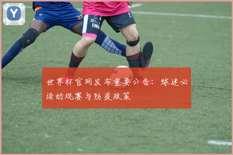 世界杯官网发布重要公告：球迷必读的观赛与防疫政策